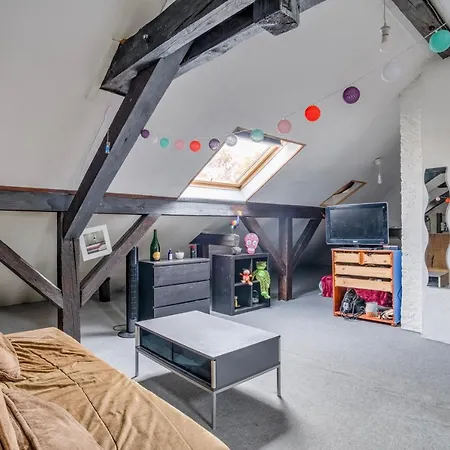 Large Studio Poincare Štrasburk